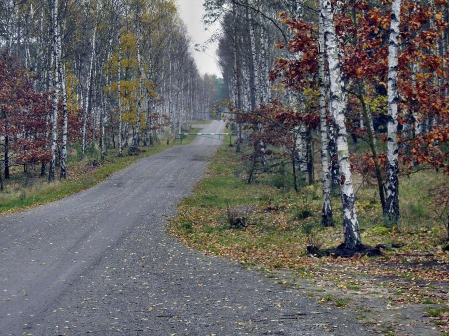 Specjalnie dla Tuni ponownie wykonałem zdjecie drogi 27, którą nie tylko ona lubi.