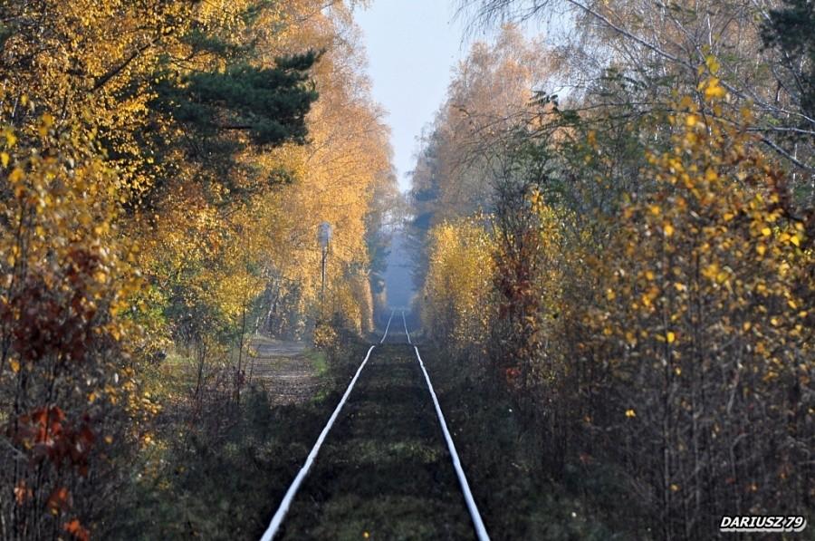 Pogoria 1 i jej klimaty