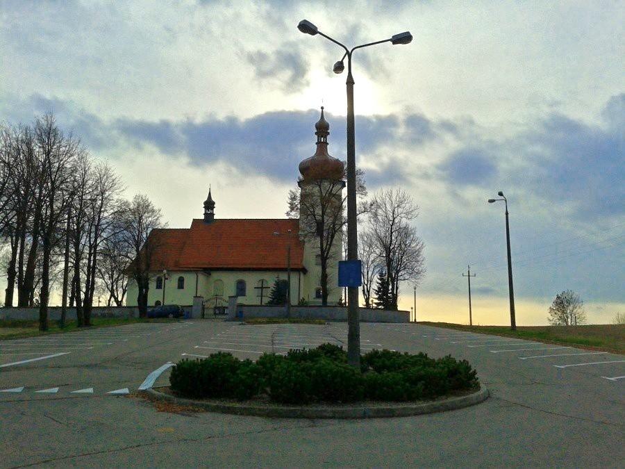 Ile można wyciągnąć ze zdjęcia Gizmo