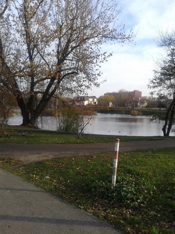 Park Szczęśliwice