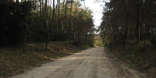 Droga nad rzekę Krzna w Styrzyńcu