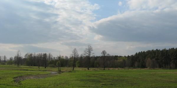Łąki nad rzeka krzna w okolicach Styrzyńca