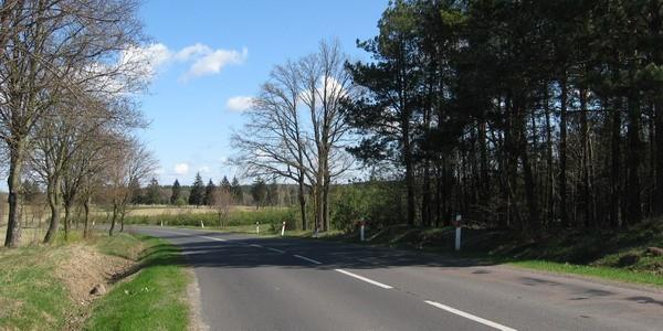 Hrud. W drodze do Janowa Podlaskiego