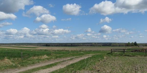 Nadbużańskie krajobrazy w okolicach wsi Pawłów Stary