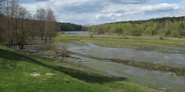 Zalane łąki nad Bugiem w Serpelicach