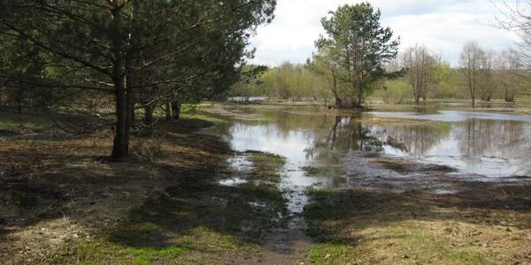 Labirynt wodno-lądowy w okolicach wsi Zabuże