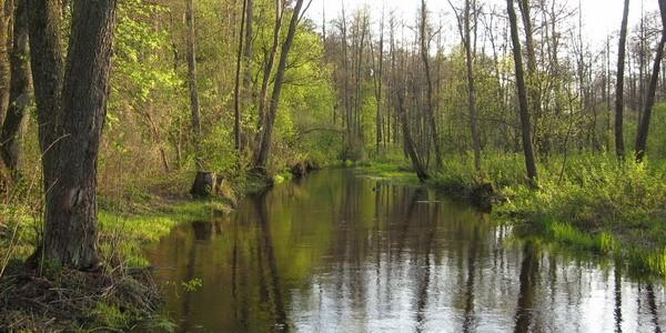 Rzeka Rudka. Cywilizacja czyni człowieka ślepym na piękno świata przyrody