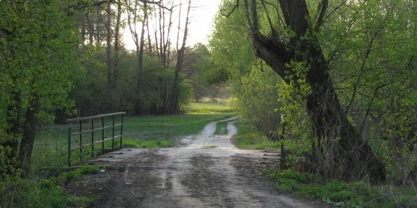Mostek nad rzeką Rudka przy starej leśniczówce Rudka