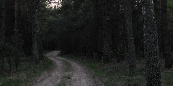 Zły zakręt