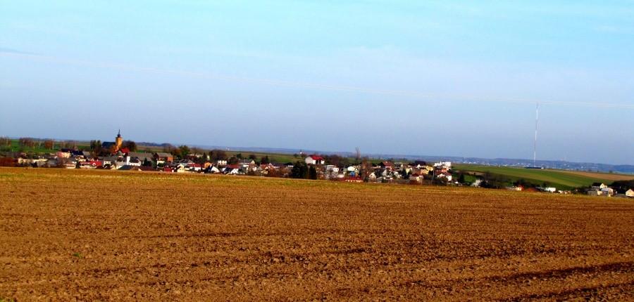 Pietraszyn z Sudic