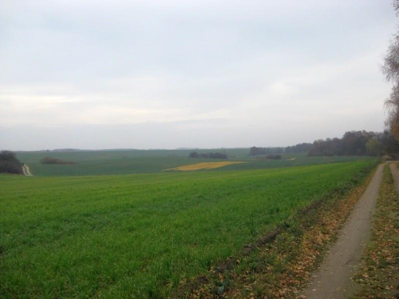 widok na pola z Gorzkiego Pola