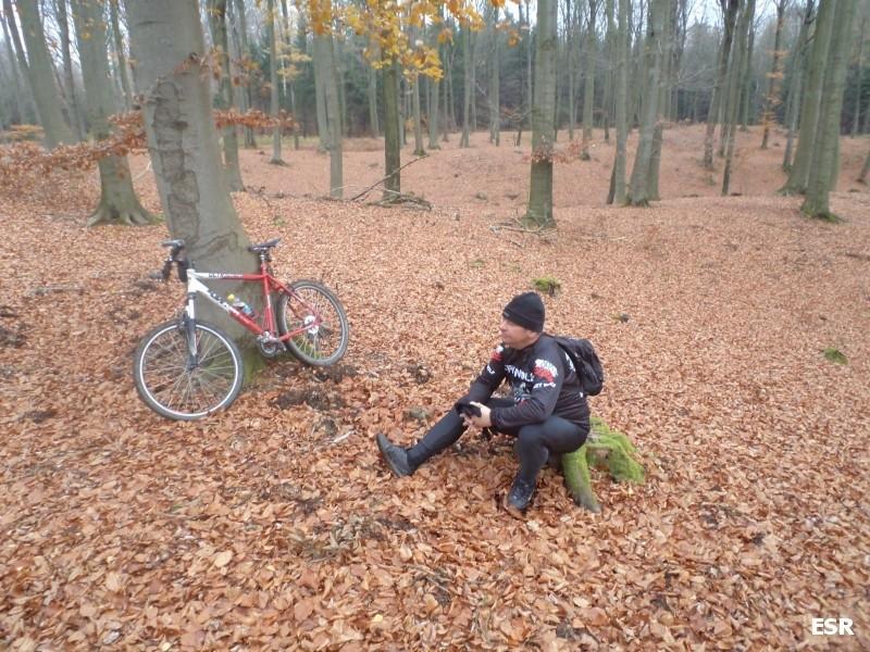 Darecki myśli