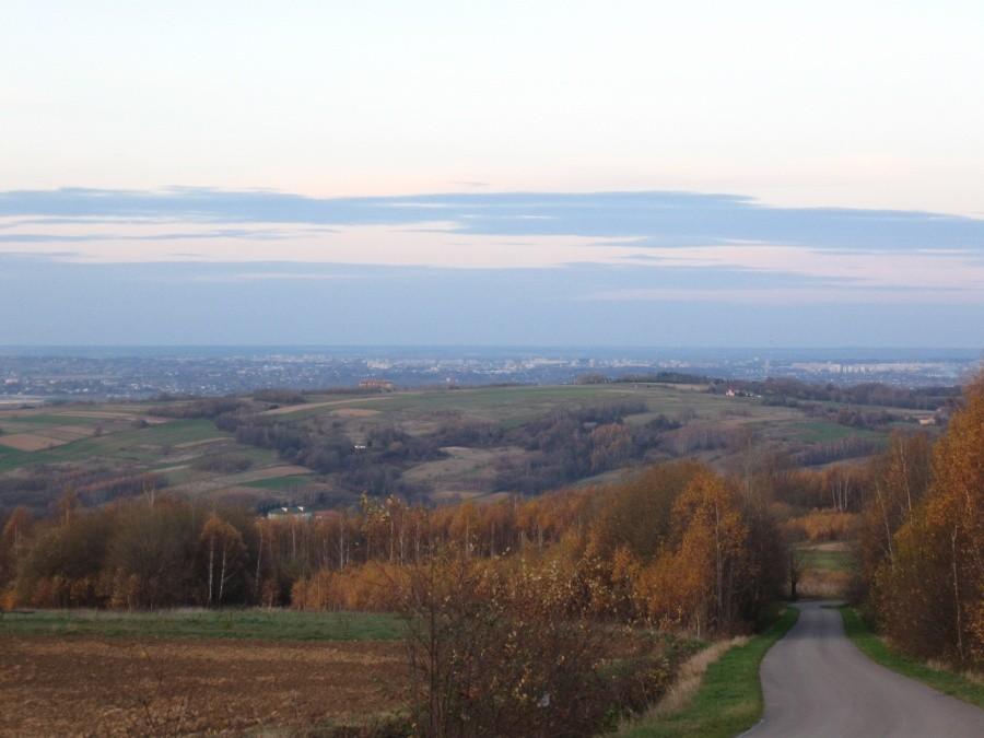 Widok na Rzeszów z Obręcznej.