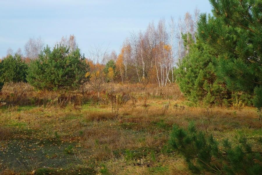Jesień