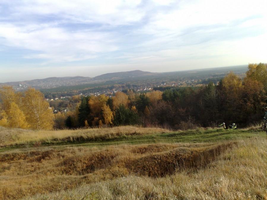 Libiąż wiodk