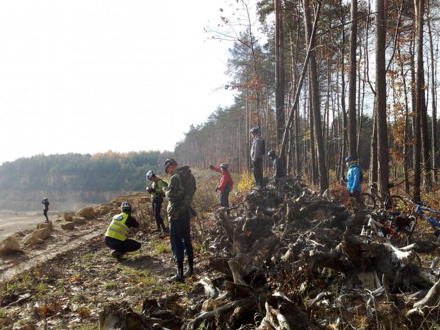 Las widok na kamieniołom