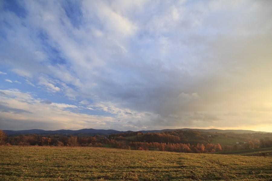 Pogórze karpackie