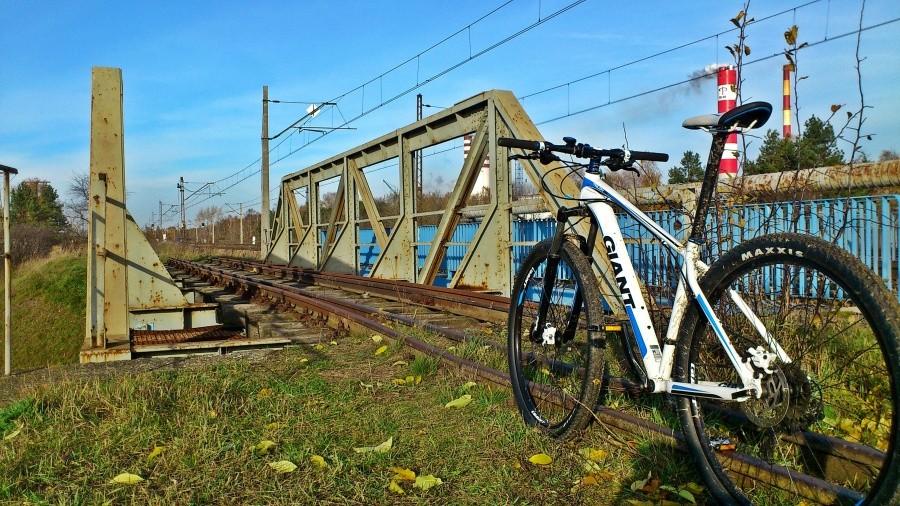 Koło torów