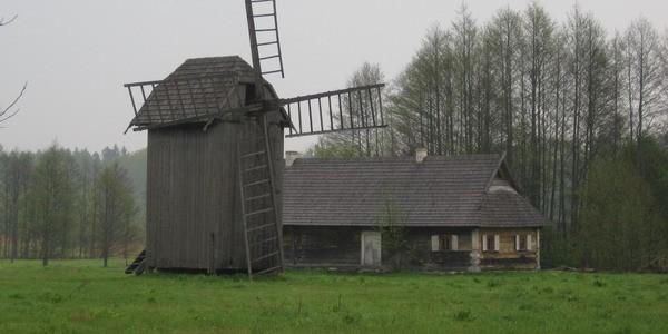 Skansen w Białowieży - Wiatrak koźlak kryty gontem