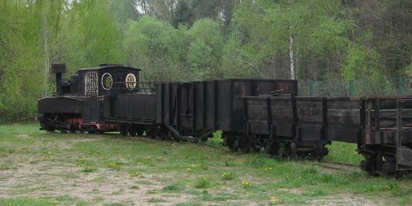 Kolejki leśne w Hajnówce