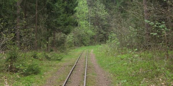 Tory wąskotorowe