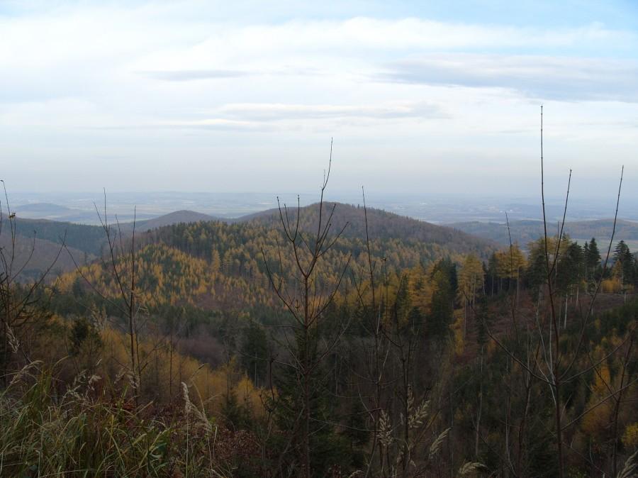 Widok w stronę Kamieńca Ząbkowickiego.