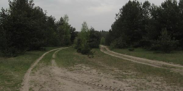 Ta droga prowadzi do lasu nad rzeka Rudka