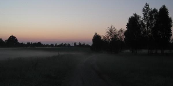 Mgla nad polami