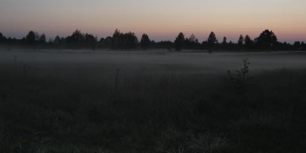 Mgła nad polami