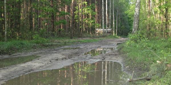 Jeszcze większe kałuże na leśnym szlaku rowerowym