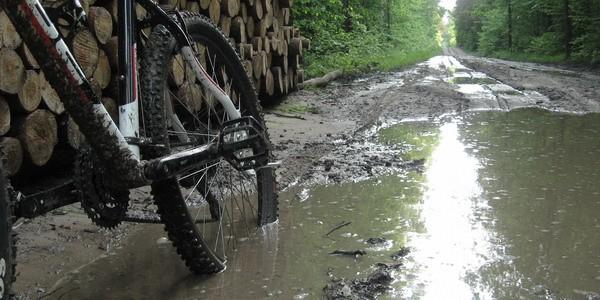 Jeszcze głębsze kałuże na leśnym szlaku rowerowym