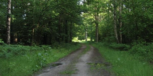 Las Grabarka