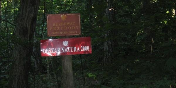 Rezerwat Przyrody "Czarny Las"