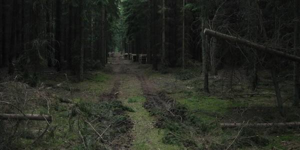 ..a teraz wygląda jakby przejechał tędy czołg