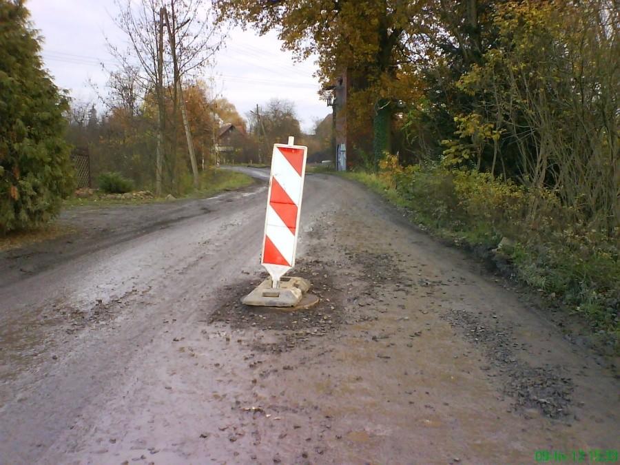 Po krzakach... program obowiązkowy..