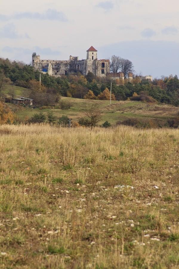 Zamek Tenczyn w Rudnie.