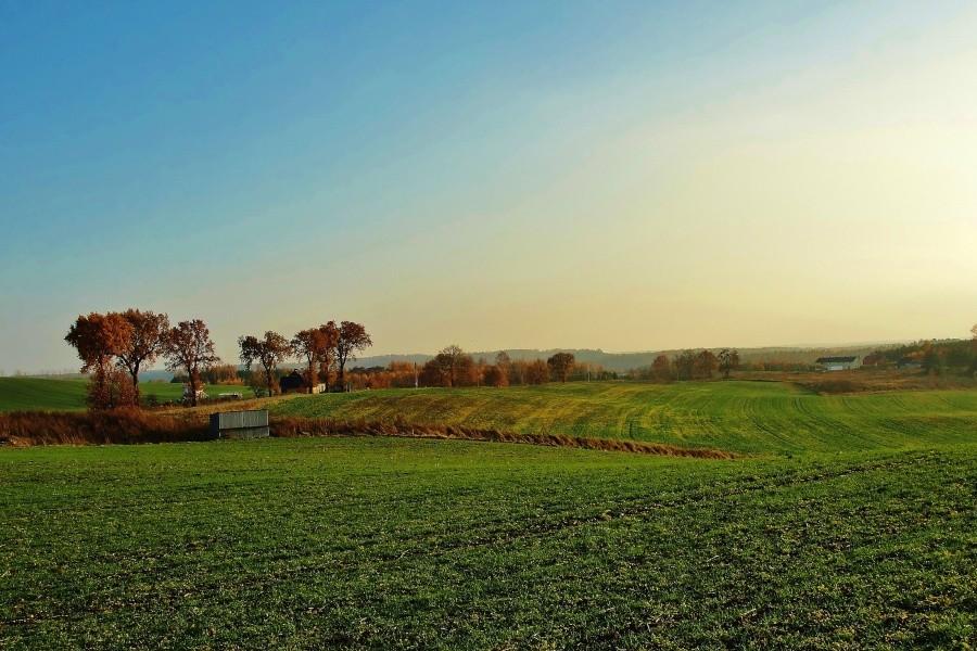 Jesienny krajobraz - Kociewie.