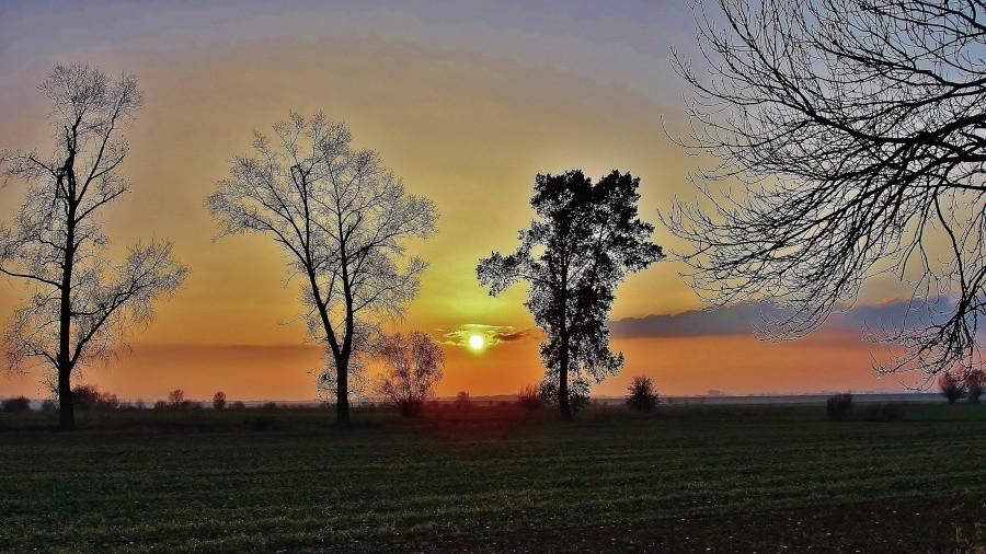 Panorama Żuław.