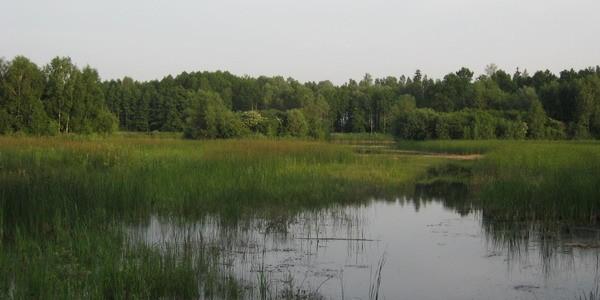 Stawy Grabarka
