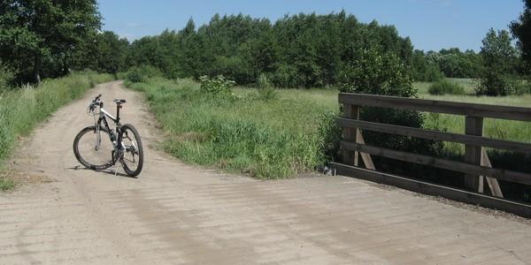 Mostek nad rzeką Zielawa w okolicach wsi Perkowice