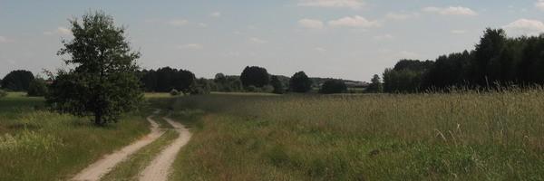 Polna droga. Ostatnia prosta do Małaszewicz