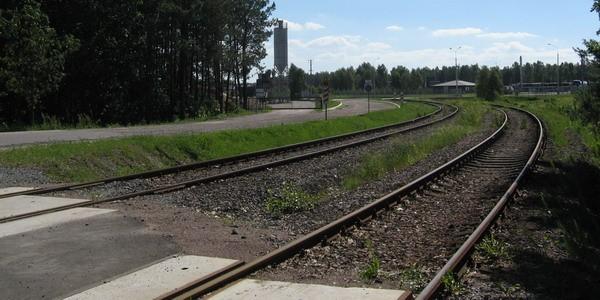 Bocznica kolejowa w małaszewickim lesie