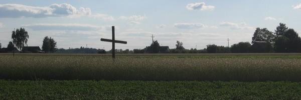 Krzyż w polu w Nowym Sławacinku