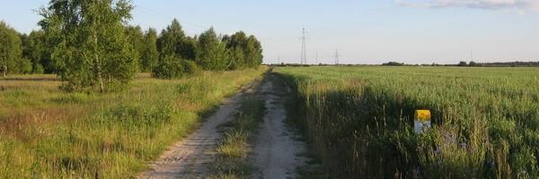 Terebela. Polna droga