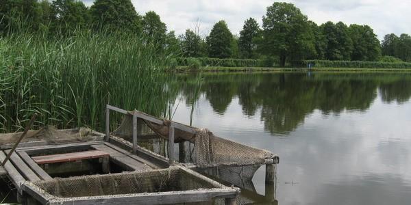 Płatne łowisko w Starej Jedlance