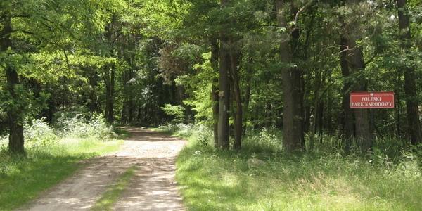 Poleski Park Narodowy