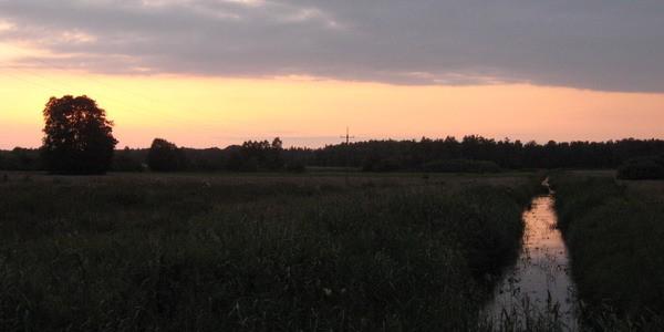 Łąki w okolicy wsi Janówka