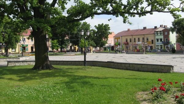 Międzyrzec Podlaski. Dużo zieleni mają na Rynku