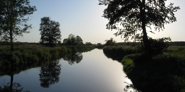 Czosnówka. Rzeka Krzna