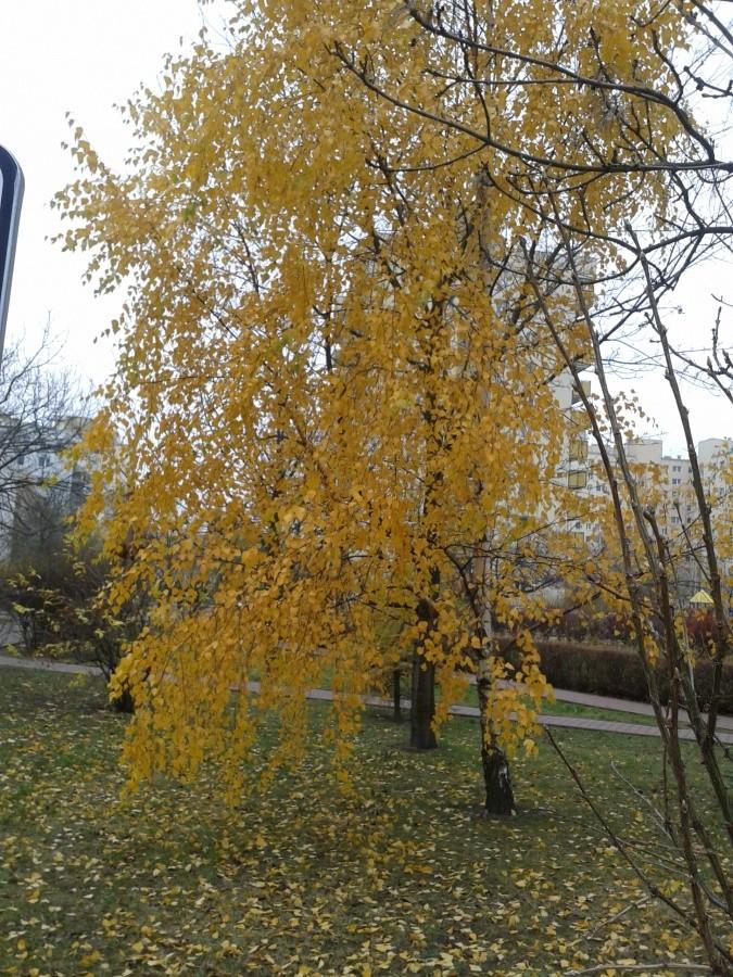 Ta jest najpiękniejsza
